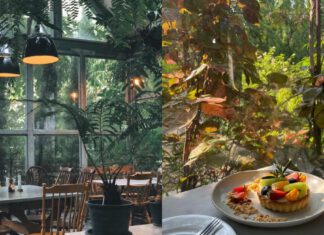 Sip, Snap, Share: Unveiling Bangkok’s Insta-Worthy Cafes!